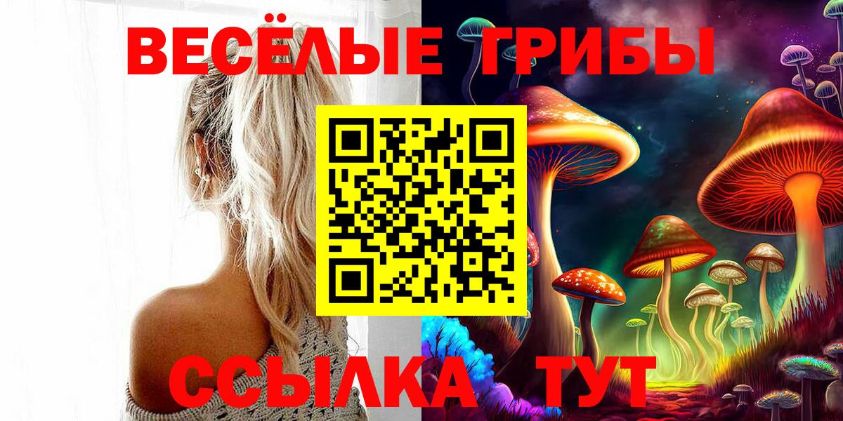 Псилоцибиновые грибы мицелий Краснокамск